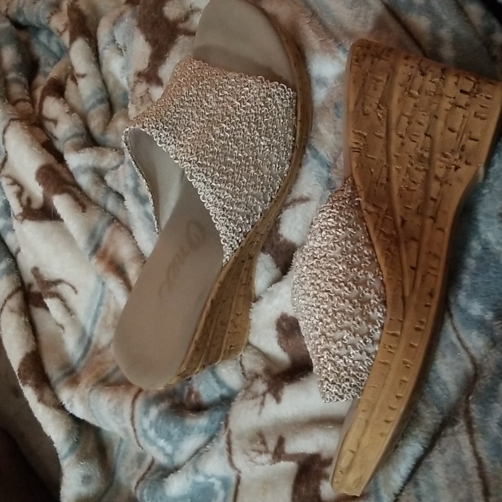Wedge shoe